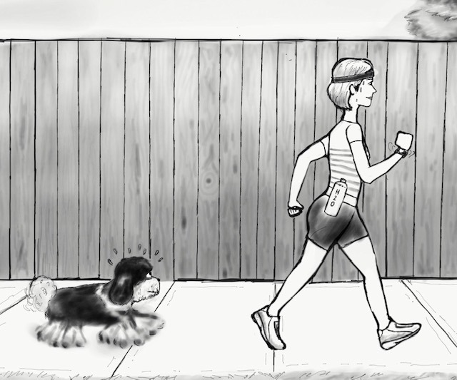 Exercise slows down the effects of aging