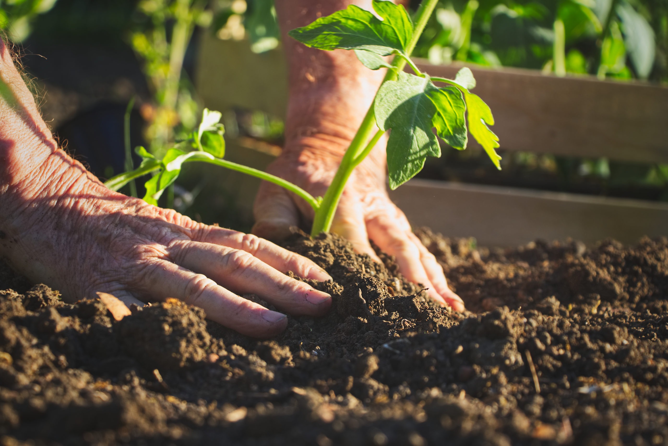 gardening